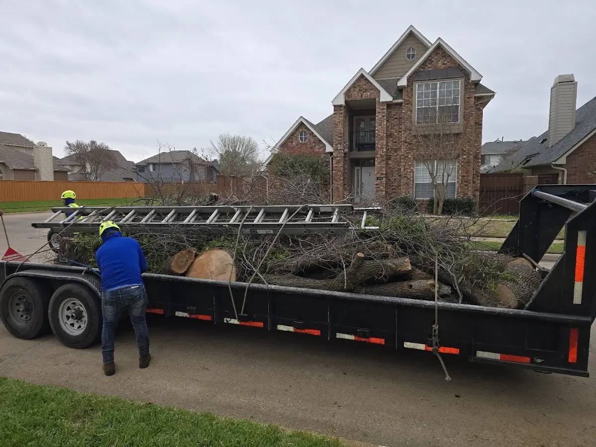 Expert Tree Fertilization with proper safety equipment in Norristown